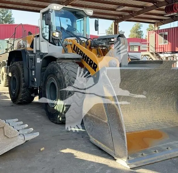 2020 Liebherr L566 Xpower