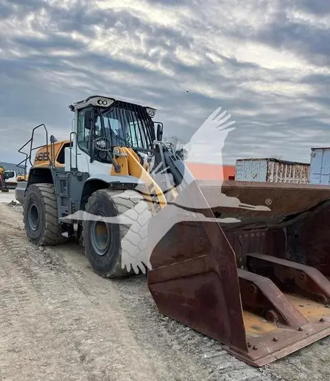 2019 Liebherr L566