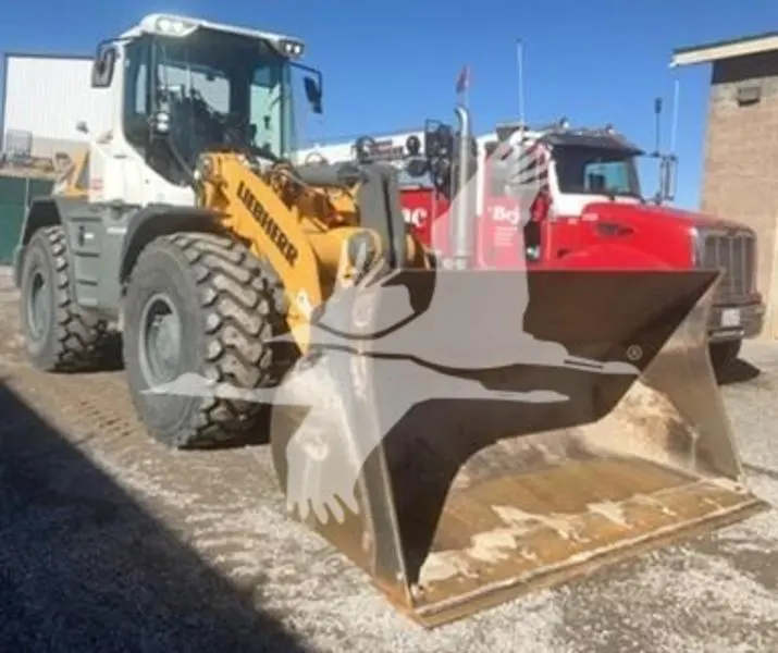 2021 Liebherr L546