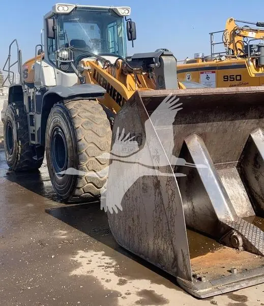 2020 Liebherr L566 Xpower